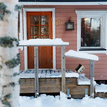 Au Coeur De La Taiga Finlandaise