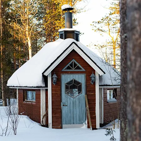 Au Coeur De La Taiga Finlandaise