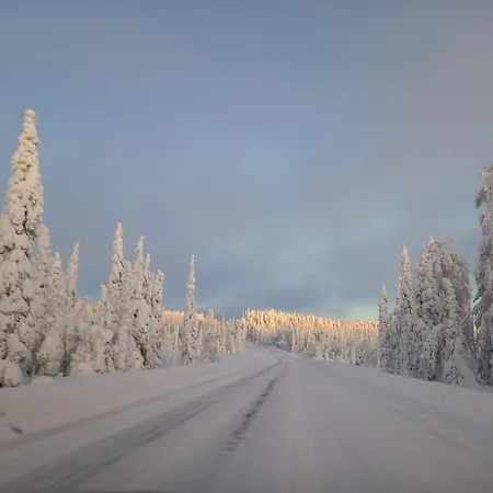 Au Coeur De La Taiga Finlandaise