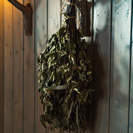 Au Coeur De La Taiga Finlandaise Alpesi faház Tyraevaara